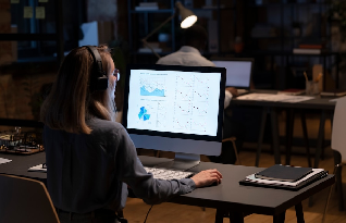  Professional transcription services